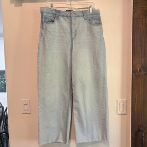 Democracy Pale Blue Denim Jeans